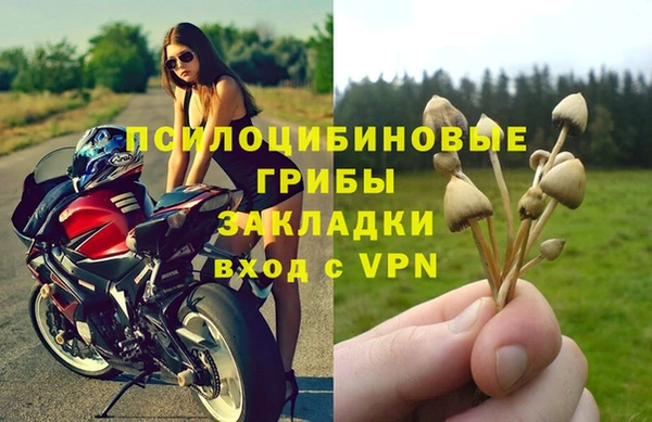 соль курить ск Краснослободск