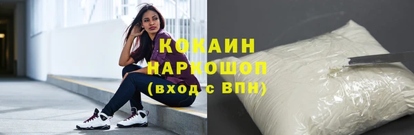 хмурый Лагань