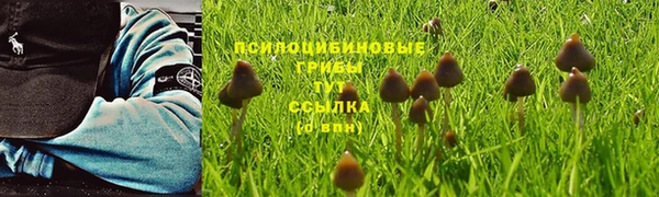 соль курить ск Краснослободск