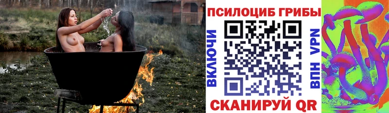 Псилоцибиновые грибы мицелий  купить закладку  Клинцы 