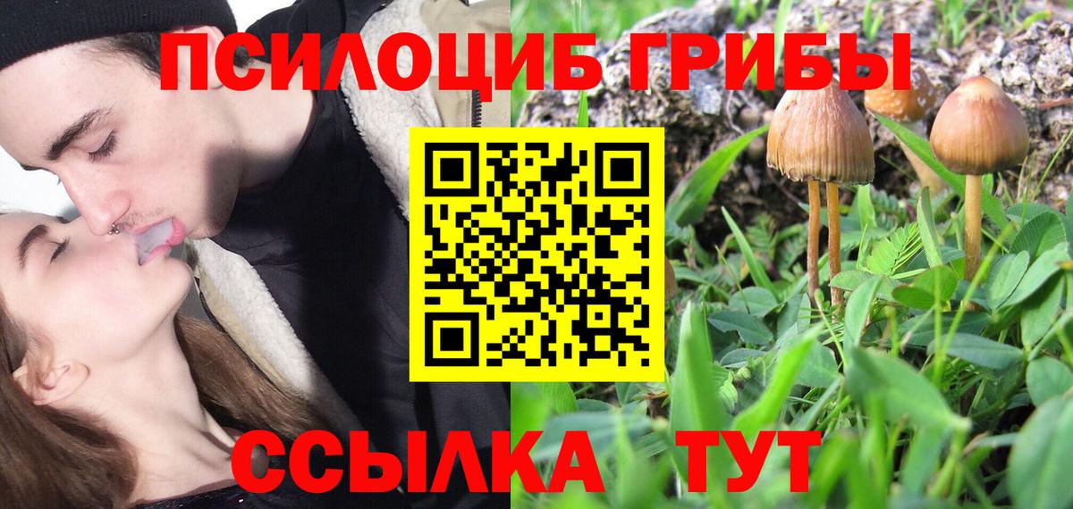 Псилоцибиновые грибы мицелий Клинцы