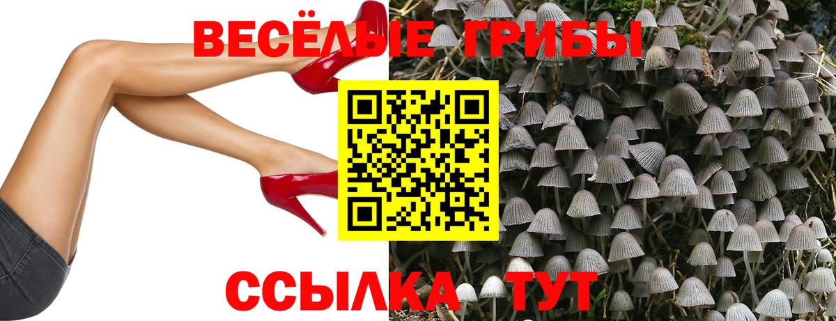 Клинцы  Псилоцибиновые грибы мицелий  Вход с VPN 