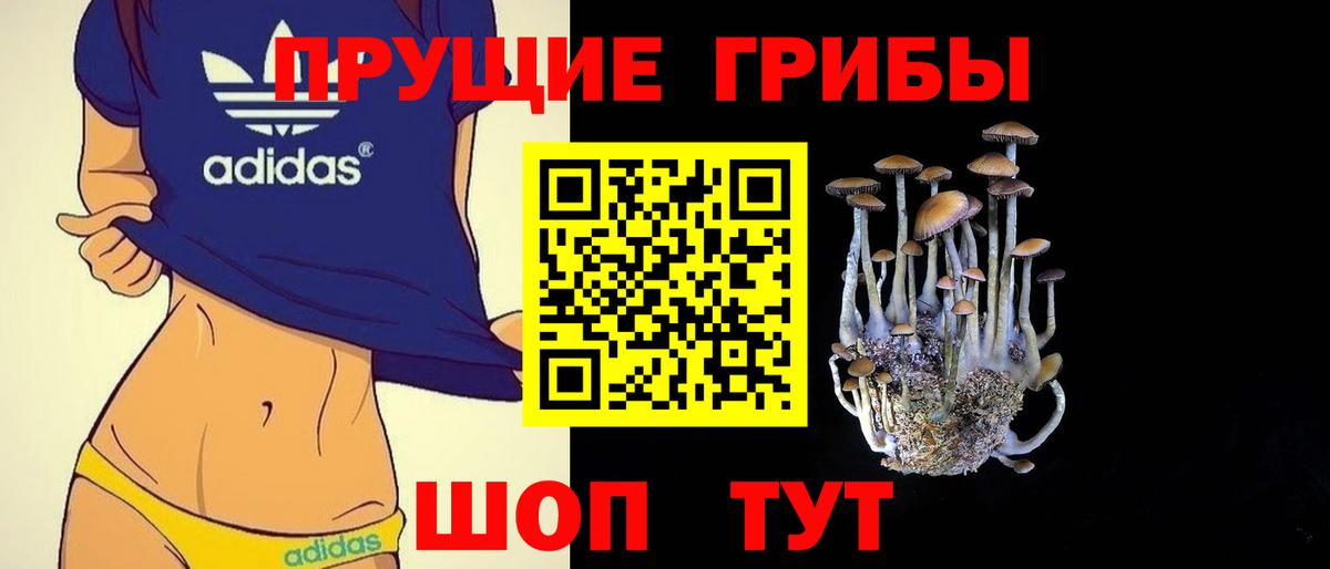Меф МЯУ МЯУ   Гашиш  КОКАИН  Клинцы  Бошки Шишки  Вход с VPN 