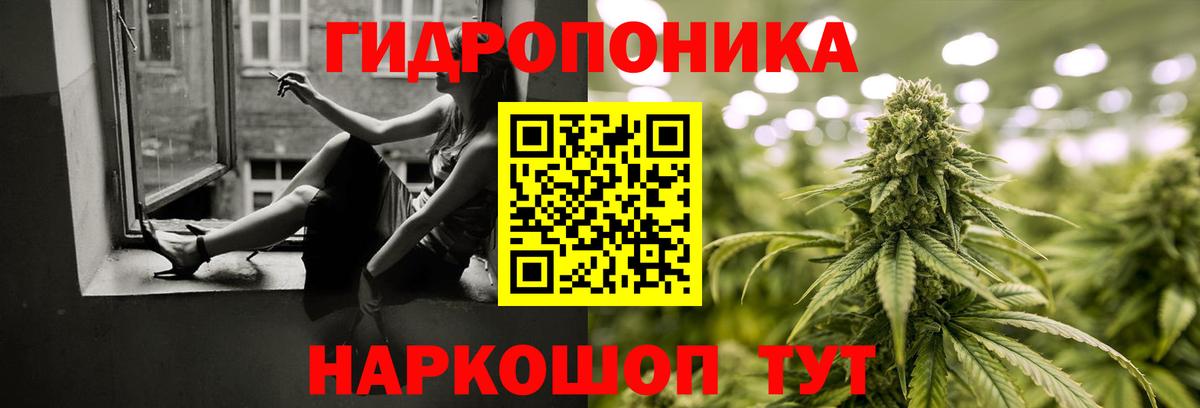 Бошки марихуана конопля Клинцы